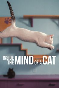 Dentro de la mente de un gato