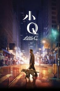 Xiao Q (2019)